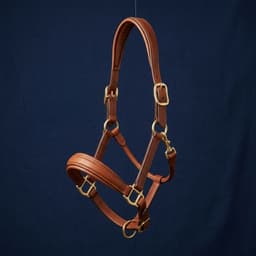 Padded Leather Halter thumbnail 1